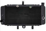 Honda Jade250 Cb250 Aluminium Water Radiator